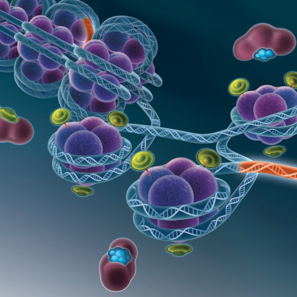 Mustard gas causes epigenetic changes: new notions in the CBRN domain