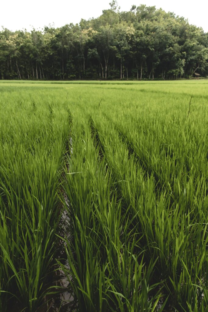 L’agroterrorisme