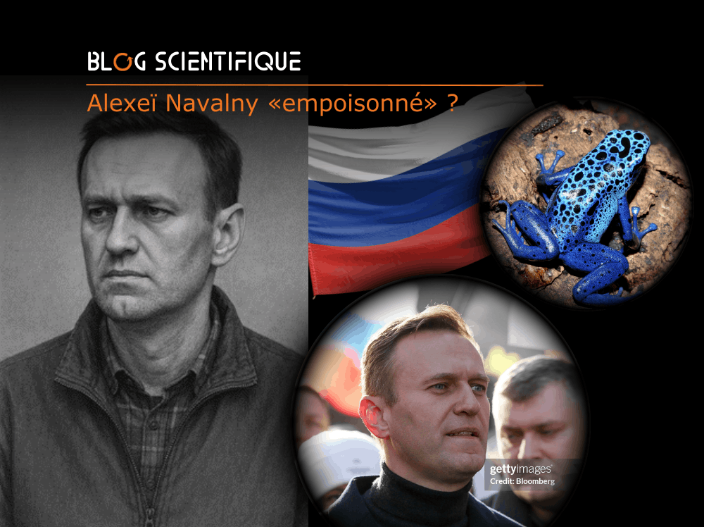 Alexeï Navalny « empoisonné » : l’épibatidine au cœur d’une enquête internationale